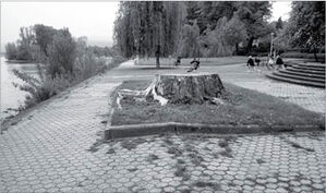 Foto: Ingo Schneider